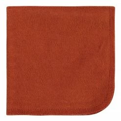 Gerber® 10-Pack Baby Boys Fox Washcloths BabyPreemie - 24M