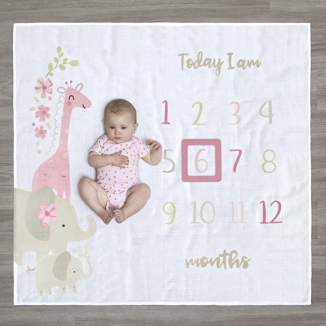 Best deal 🥰 Gerber® 2-Piece Baby 👧 Girls Safari Milestone Blanket Set BabyPreemie - 24M 🛒 2 Gerber® 2-Piece Baby Girls Safari Milestone Blanket Set BabyPreemie - 24M