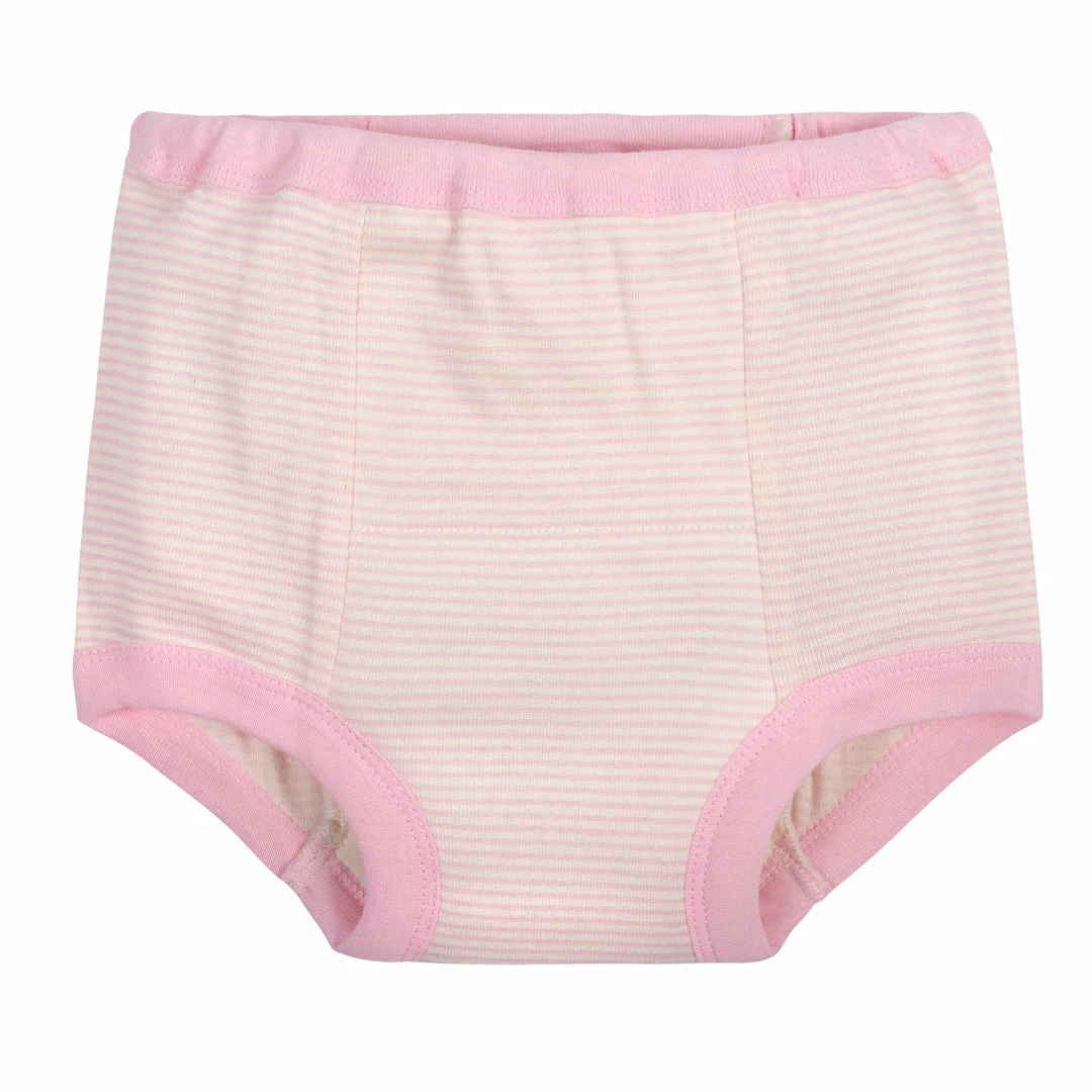 Outlet ❤️ Gerber® Toddler2T - 5T 3-Pack Toddler 👧 Girls Princess Training Pants ❤️ 4 Gerber® Toddler2T - 5T 3-Pack Toddler Girls Princess Training Pants