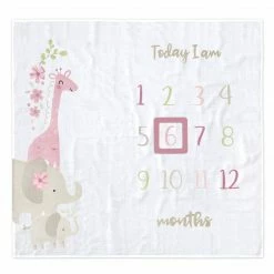 Gerber® 2-Piece Baby Girls Safari Milestone Blanket Set BabyPreemie - 24M