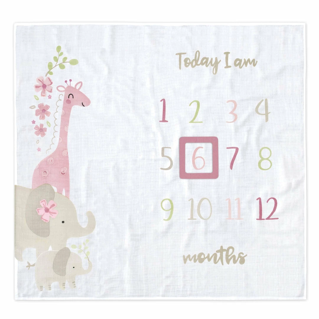 Best deal 🥰 Gerber® 2-Piece Baby 👧 Girls Safari Milestone Blanket Set BabyPreemie - 24M 🛒 1 Gerber® 2-Piece Baby Girls Safari Milestone Blanket Set BabyPreemie - 24M