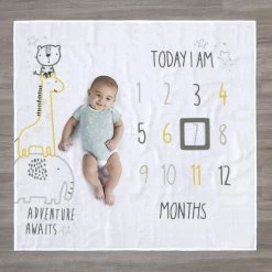 Gerber® 2-Piece Baby Boys Adventure Awaits Milestone Blanket Set BabyPreemie - 24M