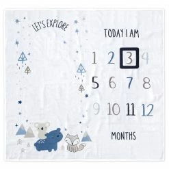 Gerber® BabyPreemie - 24M 2-Piece Baby Boys Let's Explore Milestone Blanket Set